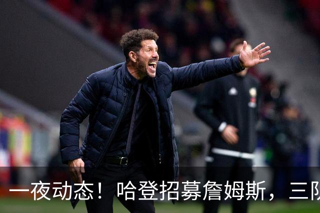 一夜动态！哈登招募詹姆斯，三队和掘金抢人，火箭伤病更新