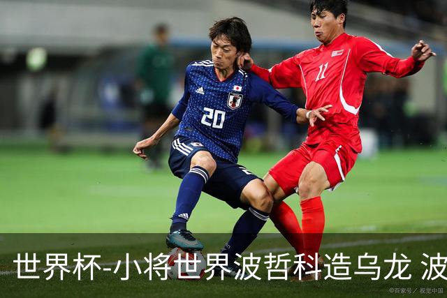 世界杯-小将世界波哲科造乌龙 波黑半场暂2-1卡塔尔
